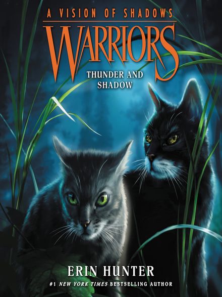 Warriors Veil Of Shadows Audiobook