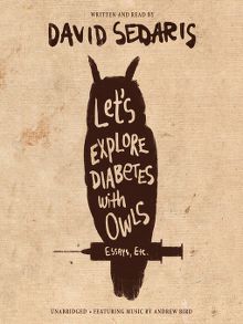 Title details for Let's Explore Diabetes with Owls by David Sedaris