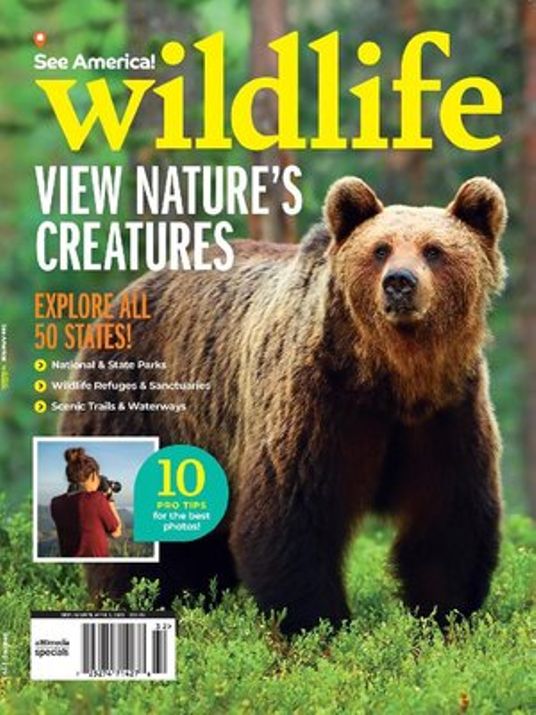 See America! Wildlife Magazine