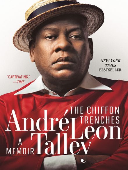 Book Cover: The Chiffon Trenches