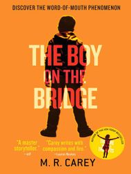 The Boy on the Bridge - ebook
