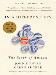 In a Different Key - ebook