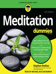 Meditation for Dummies - Audiobook