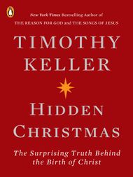Hidden Christmas - ebook