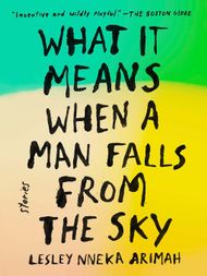 What It Means When a Man Falls from the Sky - ebook
