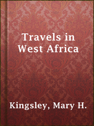 Travels in West Africa - ebook