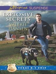 Explosive Secrets - ebook
