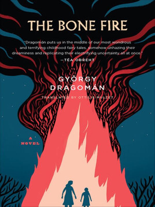 Cover: The Bone Fire